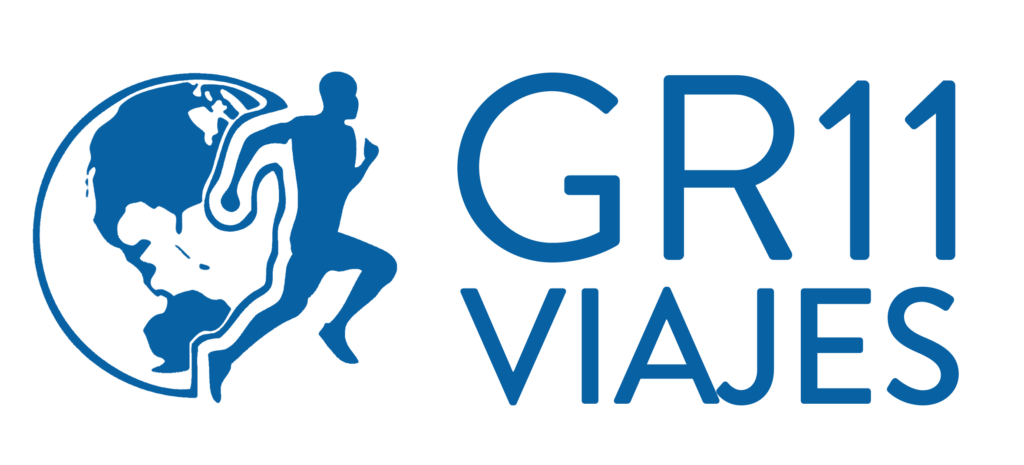 Gr11 Logo 2019 Azul